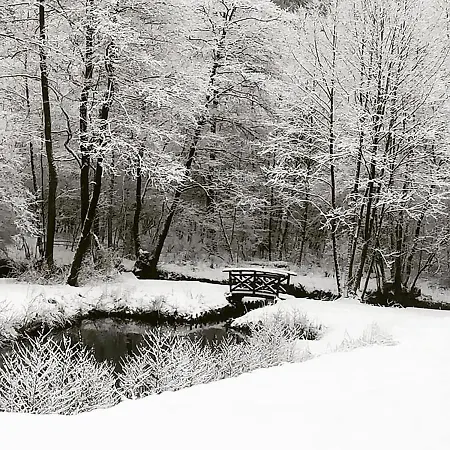 팜스테이 Agroturystyka Dolina Korytnicy *