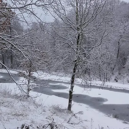 Agroturystyka Dolina Korytnicy 팜스테이