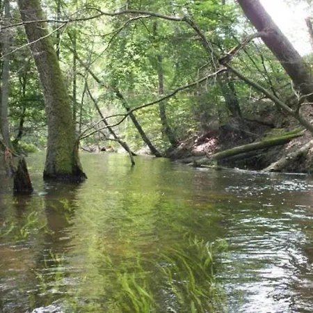 Agroturystyka Dolina Korytnicy * 칼리스 포모르스키