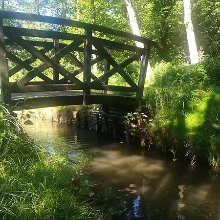 Agroturystyka Dolina Korytnicy