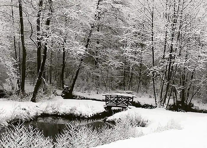 Bauernhof Agroturystyka Dolina Korytnicy *