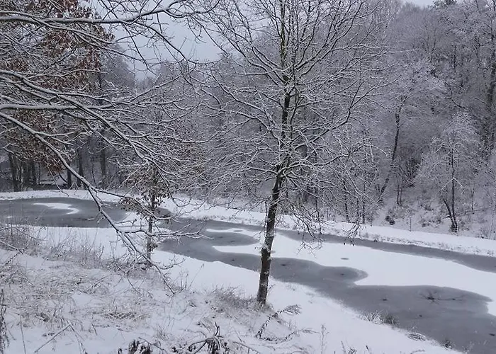 Agroturystyka Dolina Korytnicy Bauernhof
